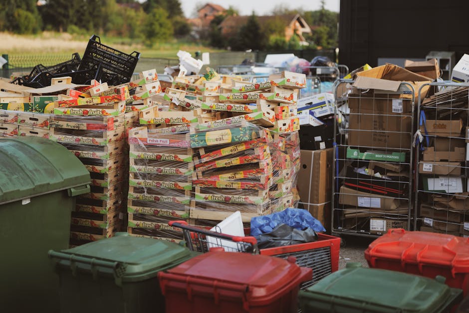 The image depicts an outdoor area allocated for rubbish disposal, featuring a large number of stacked cardboard boxes that contain fresh produce, such as fruits, with colorful printed labels, and are arranged in piles on the ground. To the right, there are several metal trolleys or cages filled with various types of waste and packaging materials, including brown paper, cardboard boxes, and plastic containers. In the foreground, multiple plastic rubbish bins in green and red are placed along a paved surface, some with lids closed while others are open or partially covered. Behind the waste containers, the environment includes a backdrop of greenery with trees and shrubs, and distant rooftops of residential buildings under a partly cloudy sky. The scene is illuminated by natural daylight, highlighting the textures and colors of the rubbish and surroundings, consistent with a private waste management or on-site clearance operation often handled by independent rubbish removal services such as Rubbish Clearance Highbury, which may involve sorting and disposing of waste outside of municipal collection systems.